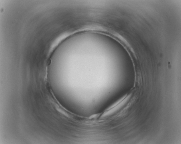 X0000081391366200701252053