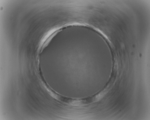 X0000081391367200701252053