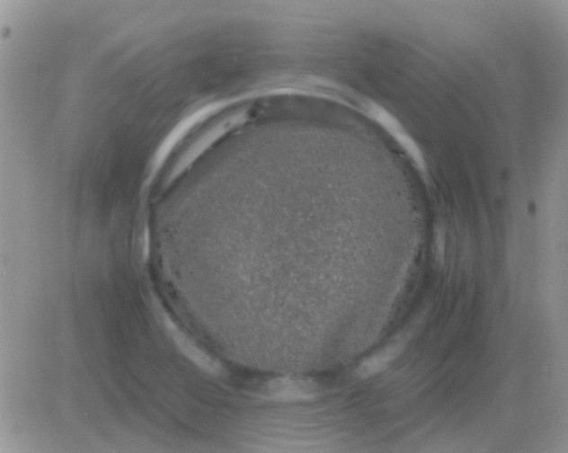 X0000081391368200701252053