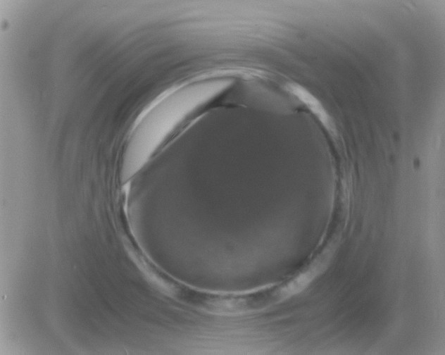 X0000081391369200701252053