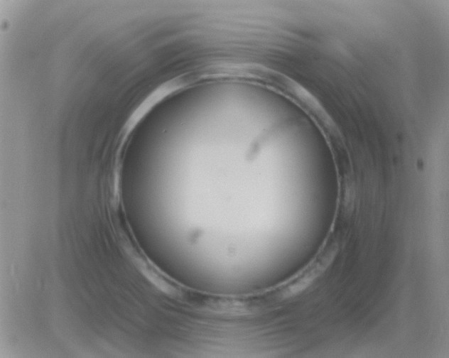 X0000081391370200701252053