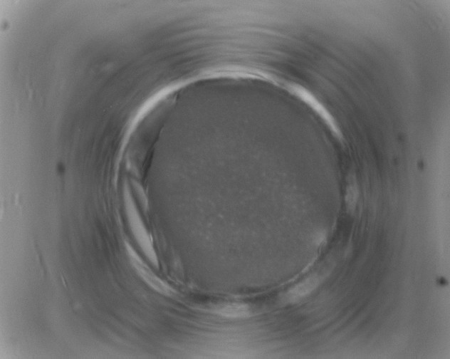 X0000081391372200701252053