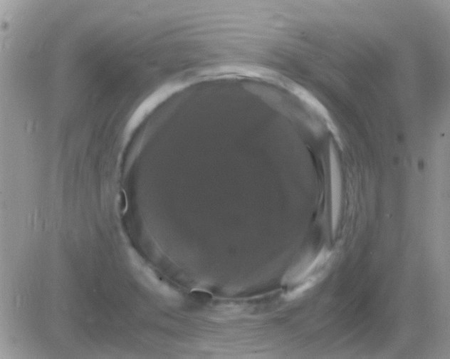 X0000081391373200701252053