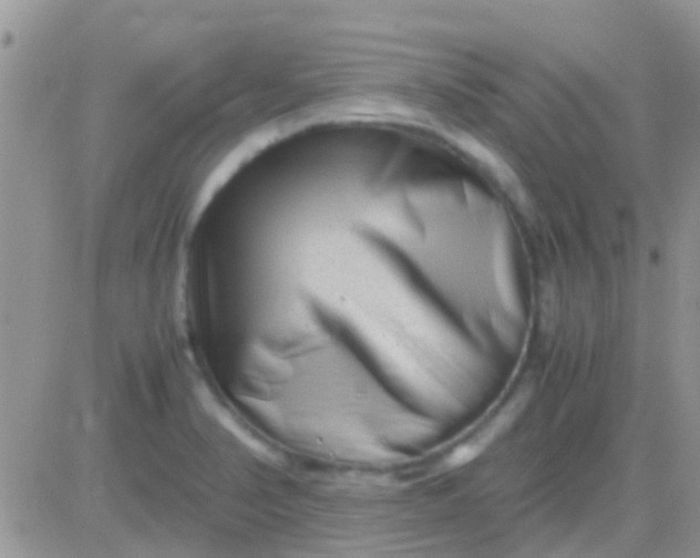 X0000081391374200701252053