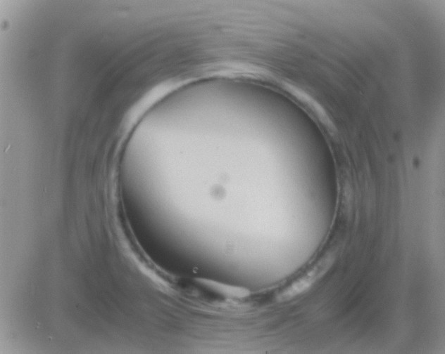 X0000081391375200701252053