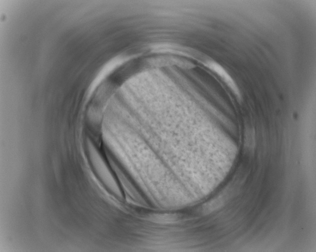 X0000081391376200701252053