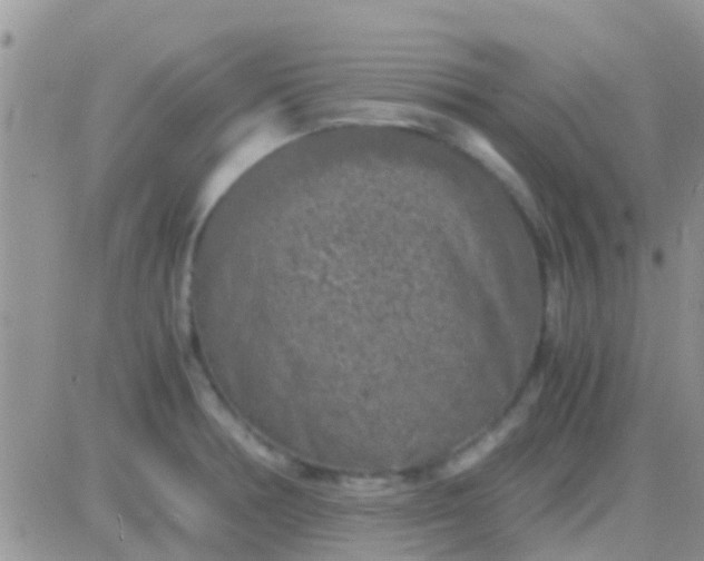 X0000081391378200701252053