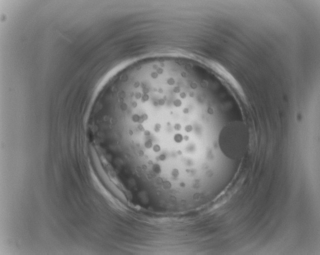 X0000081391380200701252053