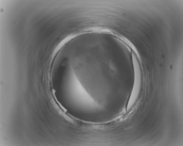 X0000081391381200701252053