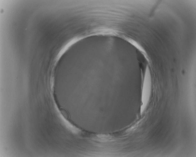 X0000081391383200701252053