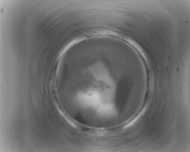 X0000081391385200701252053