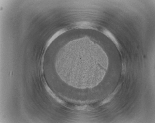 X0000081391386200701252053