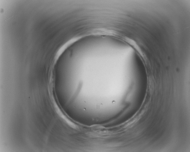 X0000081391387200701252053