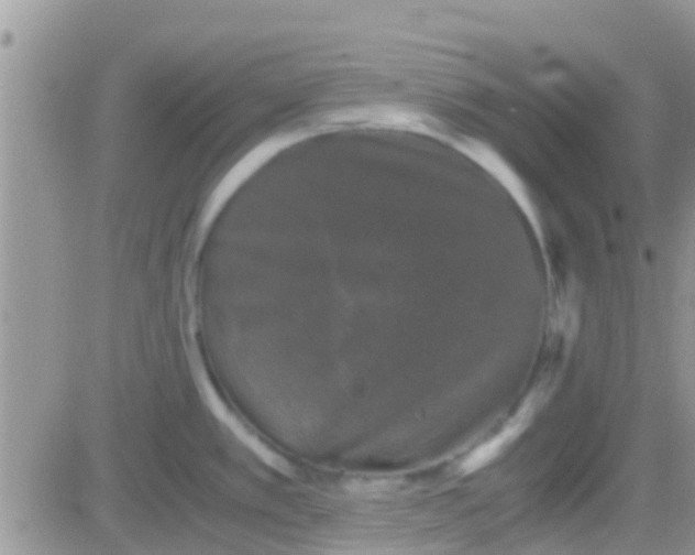 X0000081391389200701252053