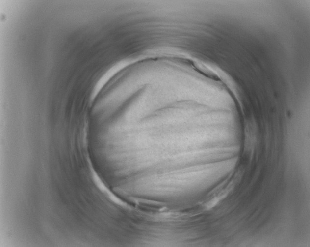 X0000081391390200701252053