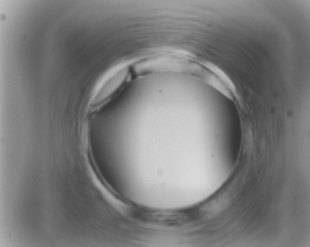 X0000081391391200701252053