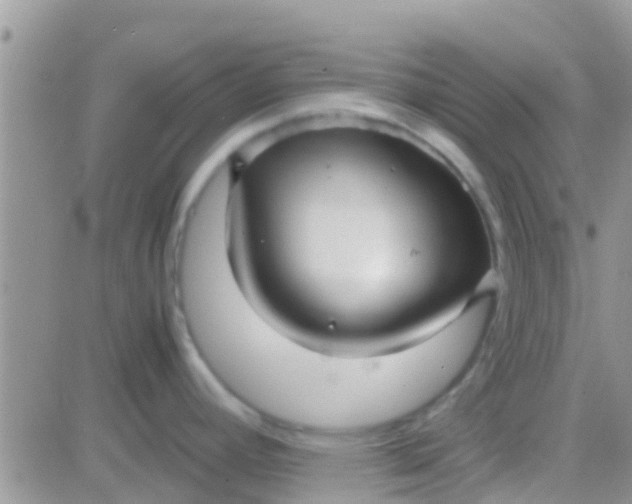 X0000081391392200701252053