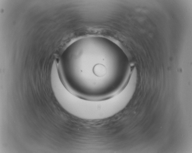 X0000081391394200701252052