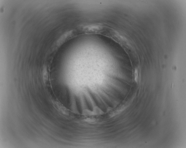 X0000081391395200701252052