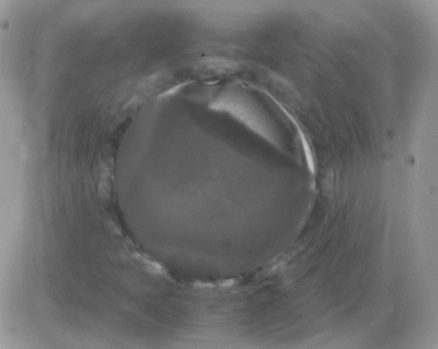 X0000081391397200701252052