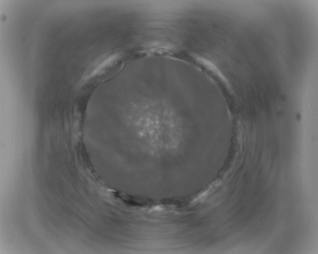 X0000081391399200701252052