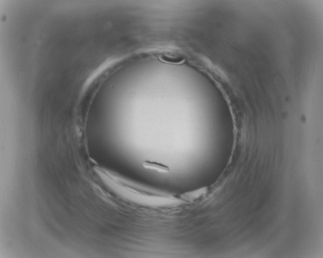 X0000081391400200701252052