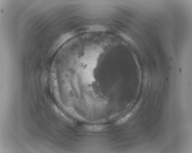 X0000081391401200701252052