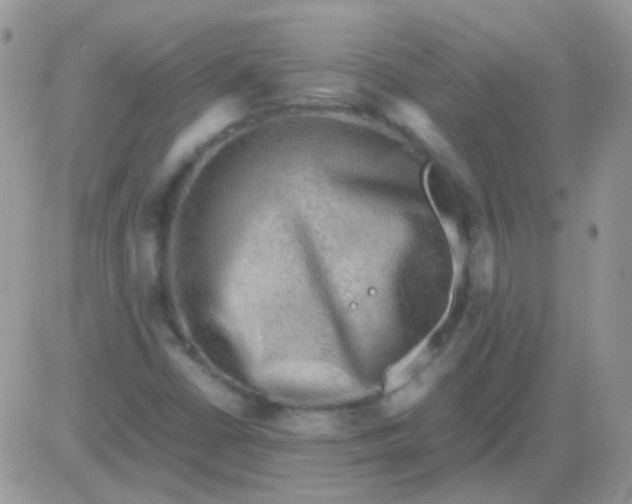 X0000081391402200701252052