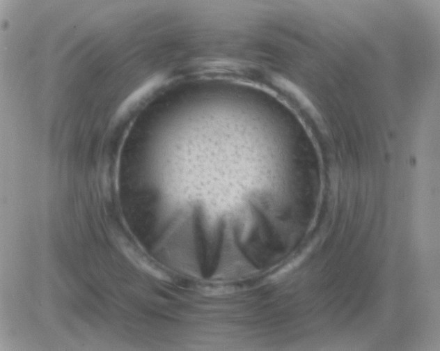 X0000081391403200701252052