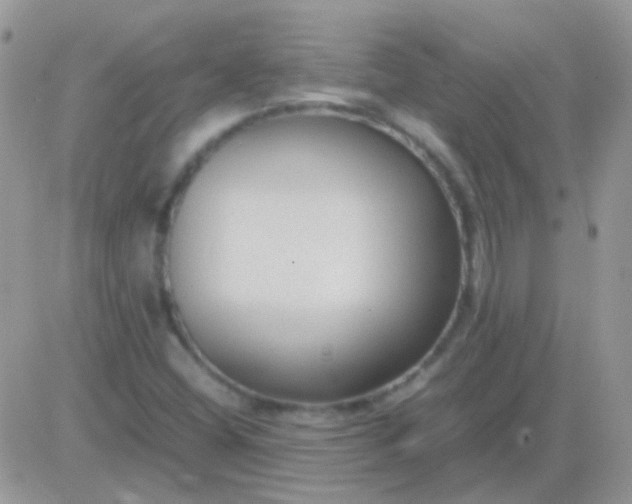 X0000081391404200701252052