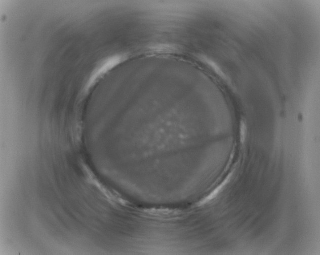 X0000081391405200701252052