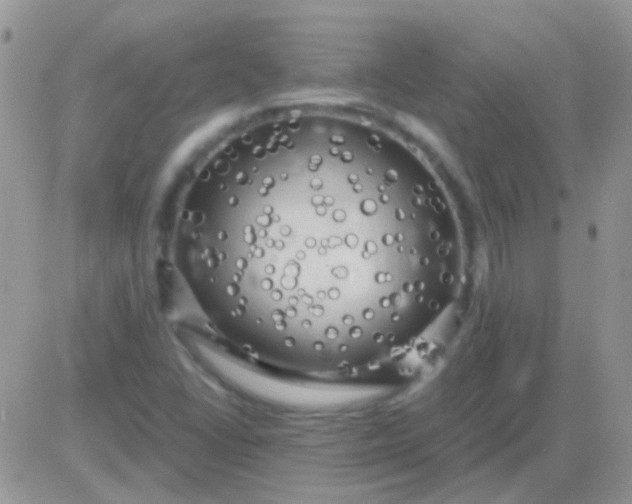 X0000081391406200701252052