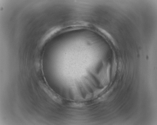 X0000081391407200701252052