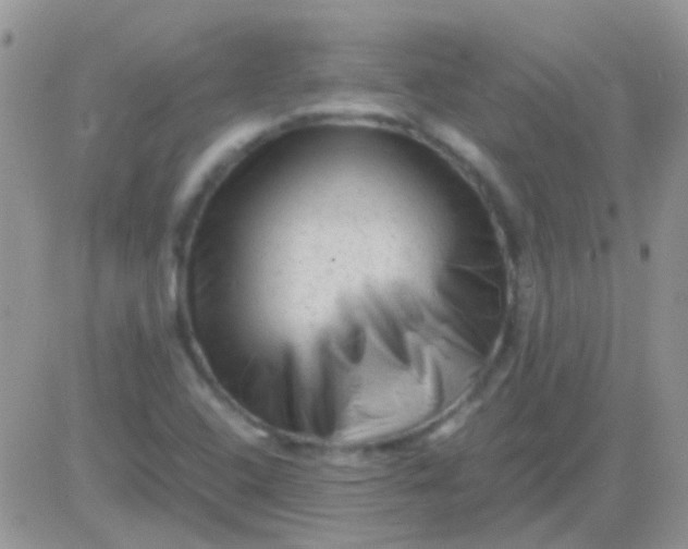 X0000081391408200701252053