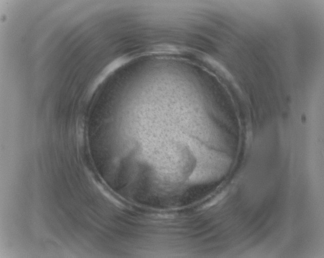 X0000081391409200701252053