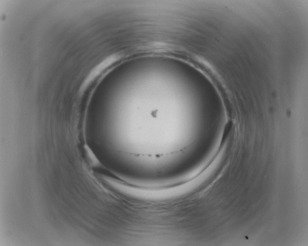 X0000081391410200701252053