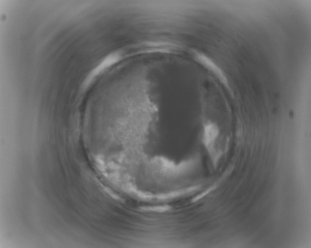 X0000081391411200701252053