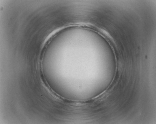 X0000081391412200701252053