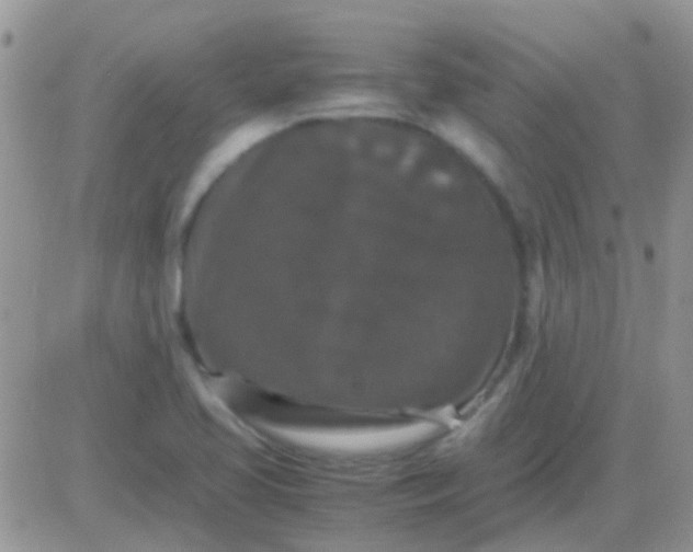 X0000081391413200701252053