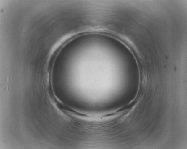 X0000081391414200701252053