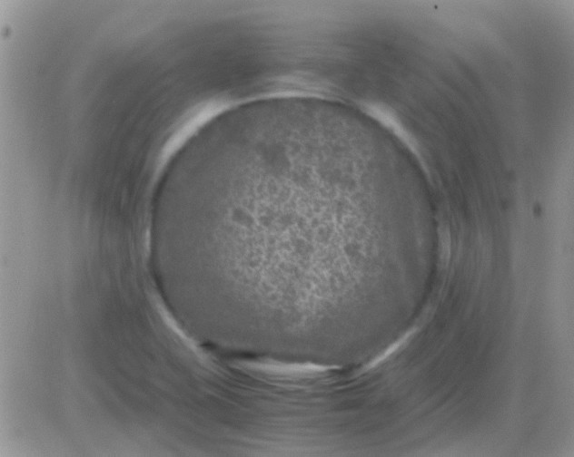 X0000081391415200701252053