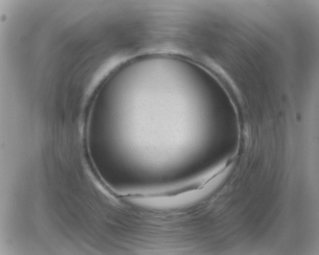 X0000081391416200701252053