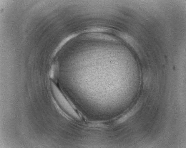 X0000081391417200701252053