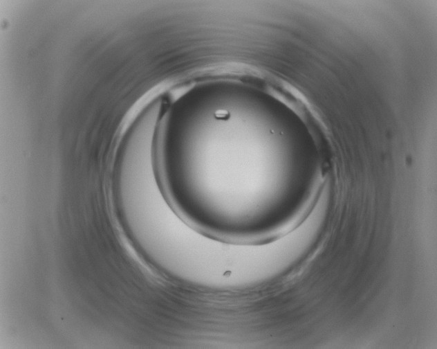 X0000081391418200701252053