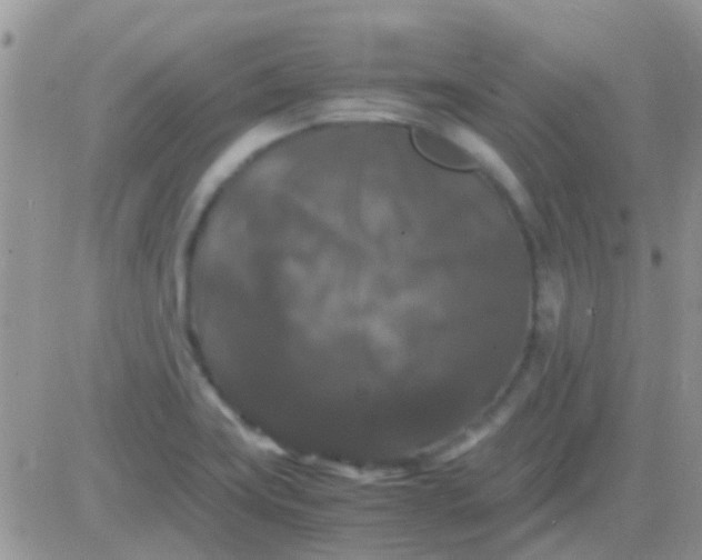 X0000081391419200701252053