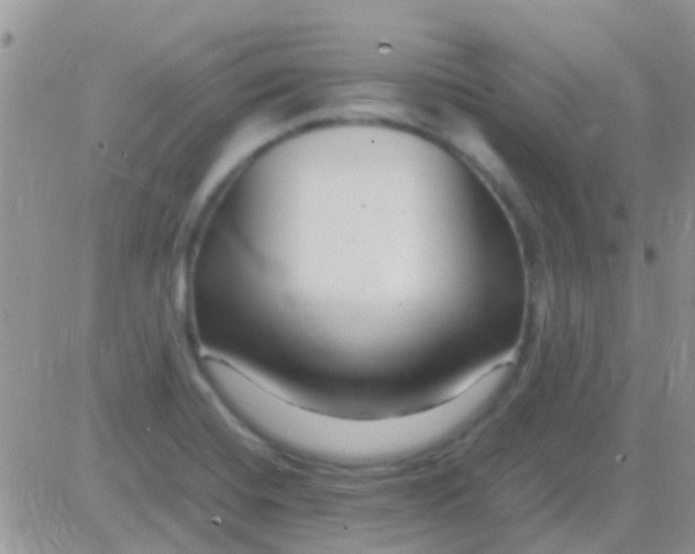 X0000081391420200701252053