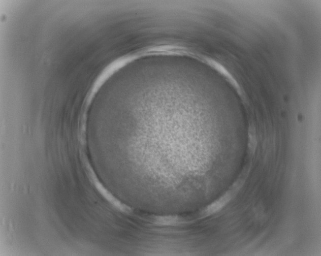 X0000081391421200701252053