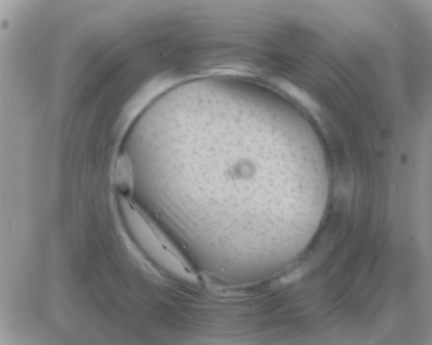 X0000081391423200701252053