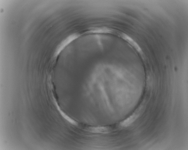 X0000081391425200701252053