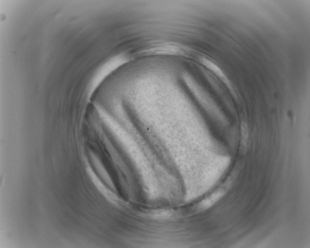 X0000081391426200701252053